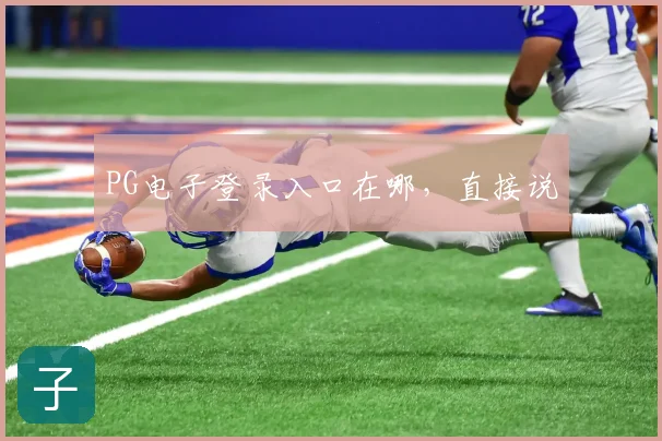 PG电子登录入口在哪，直接说