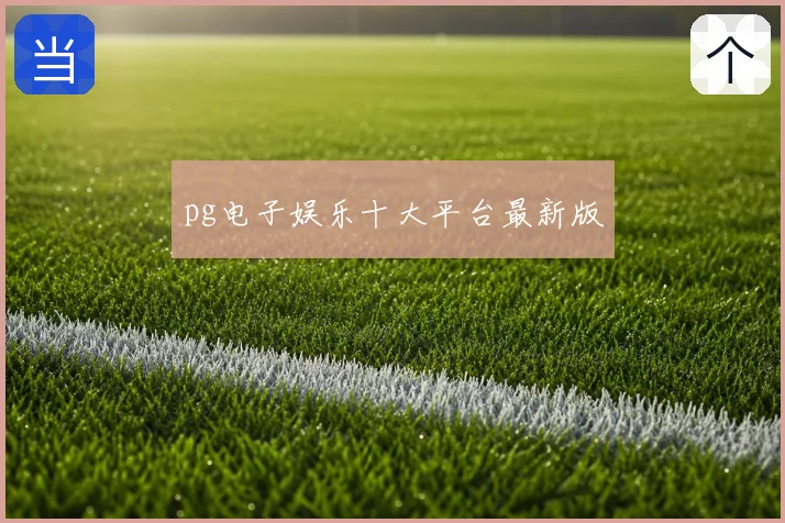 pg电子娱乐十大平台最新版